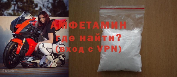 шишки Бородино