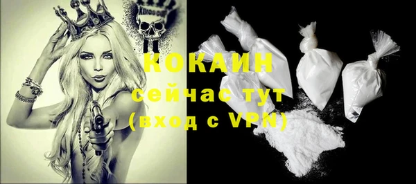 дживик Богданович