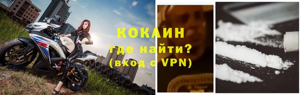 шишки Богородск
