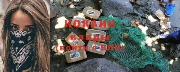 шишки Богородск