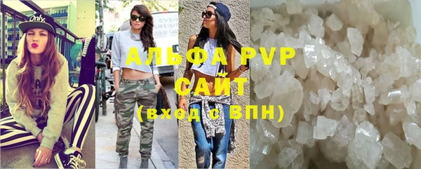 шишки Бородино