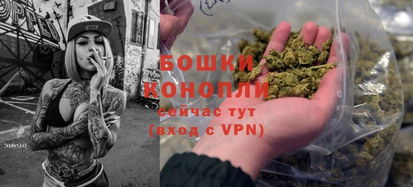 дживик Богданович
