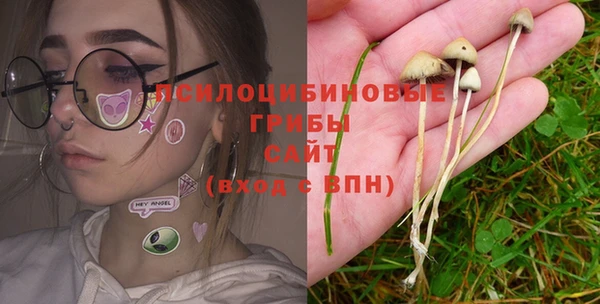дживик Богданович