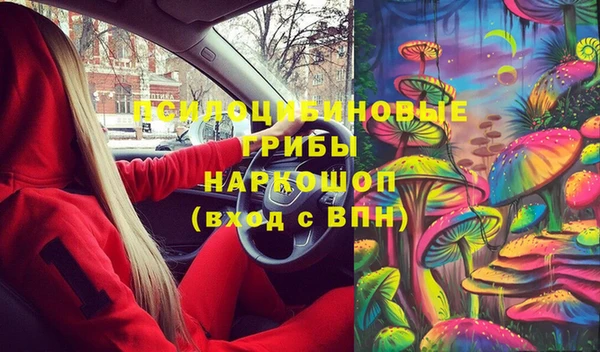 дживик Богданович