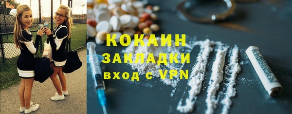 шишки Бородино