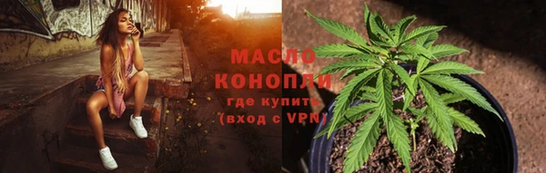 шишки Бородино