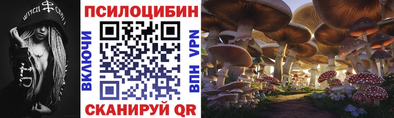 Псилоцибиновые грибы GOLDEN TEACHER Шатура